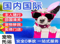 连云港机场空运国际宠物托运 【国